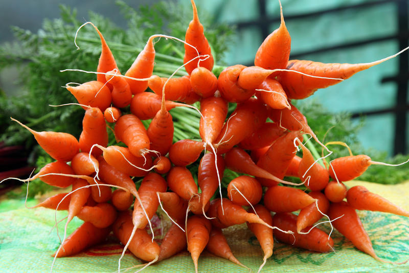 пучок моркови