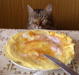 Кошка и блины