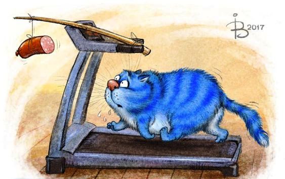 Рисунок кота на беговой дорожке