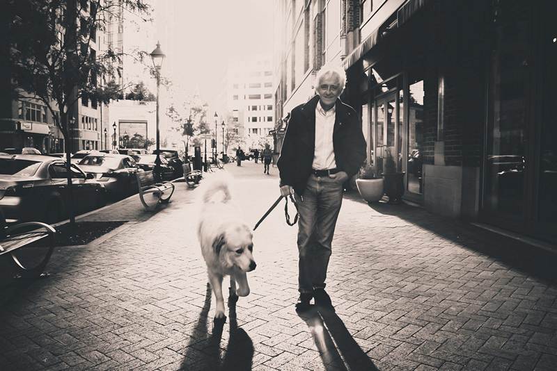 собака для пенсионера является компаньоном для прогулок