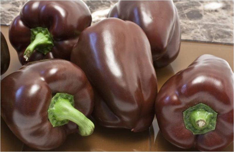 Черные овощи - перцы сорта Шоколадный красавец.
