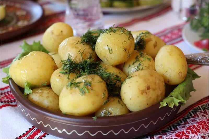 Тарелка отварной картошки с укропом.