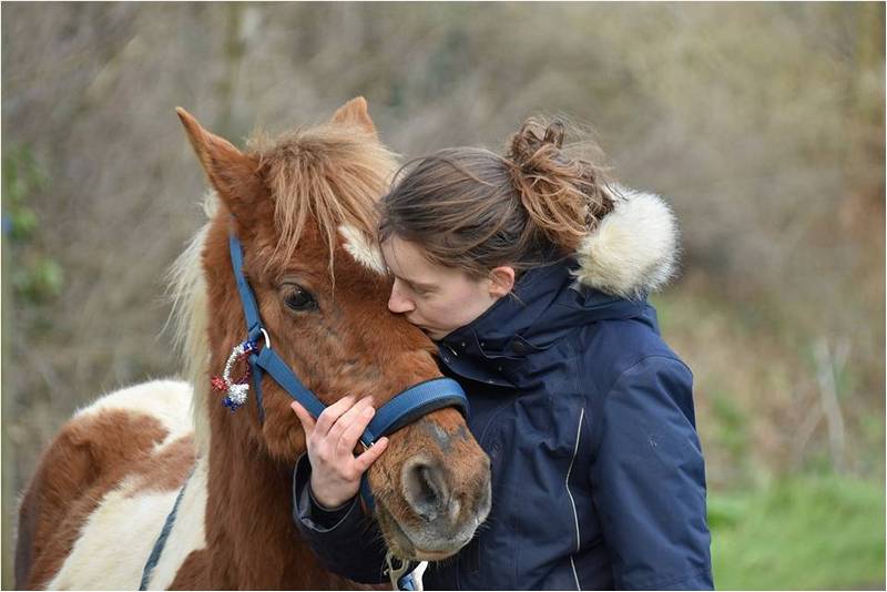 Девочка обнимает лошадь.
