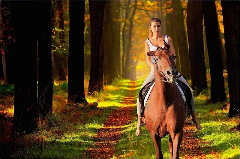 Девушка на лошади катается в красивом лесу.