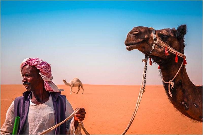 Бедуин в пустыне ведет верблюда.