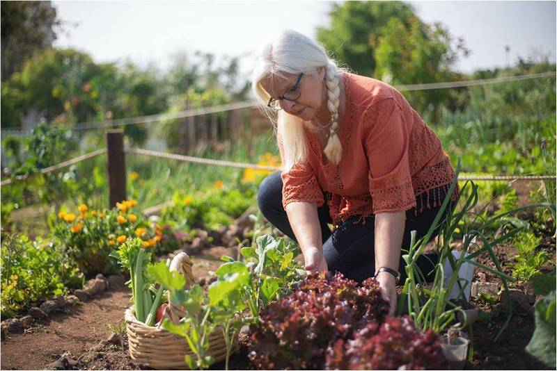 Женщина работает в огороде., знает как улучшить почву.